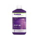 PLAGRON Start Up (1L)