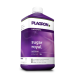 PLAGRON Sugar Royal (1L)