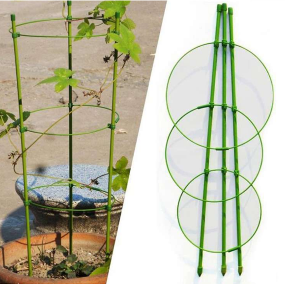 Підпора для рослин Herbgarden Flower Support h90cm ⌀ 28cm